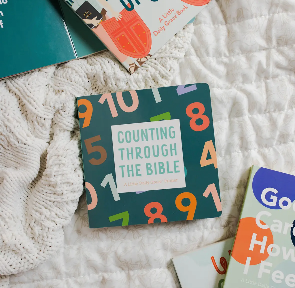 Counting Through the Bible Board Book