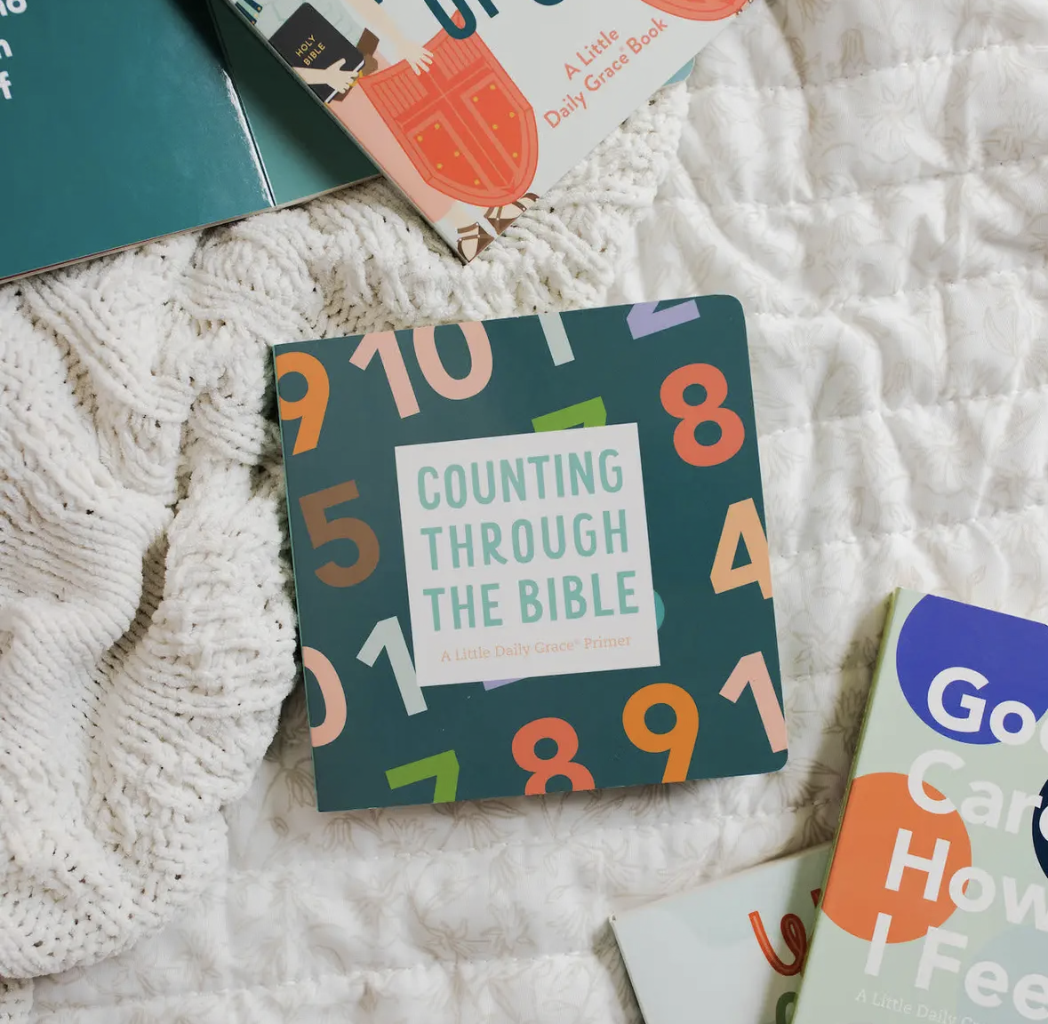 Counting Through the Bible Board Book
