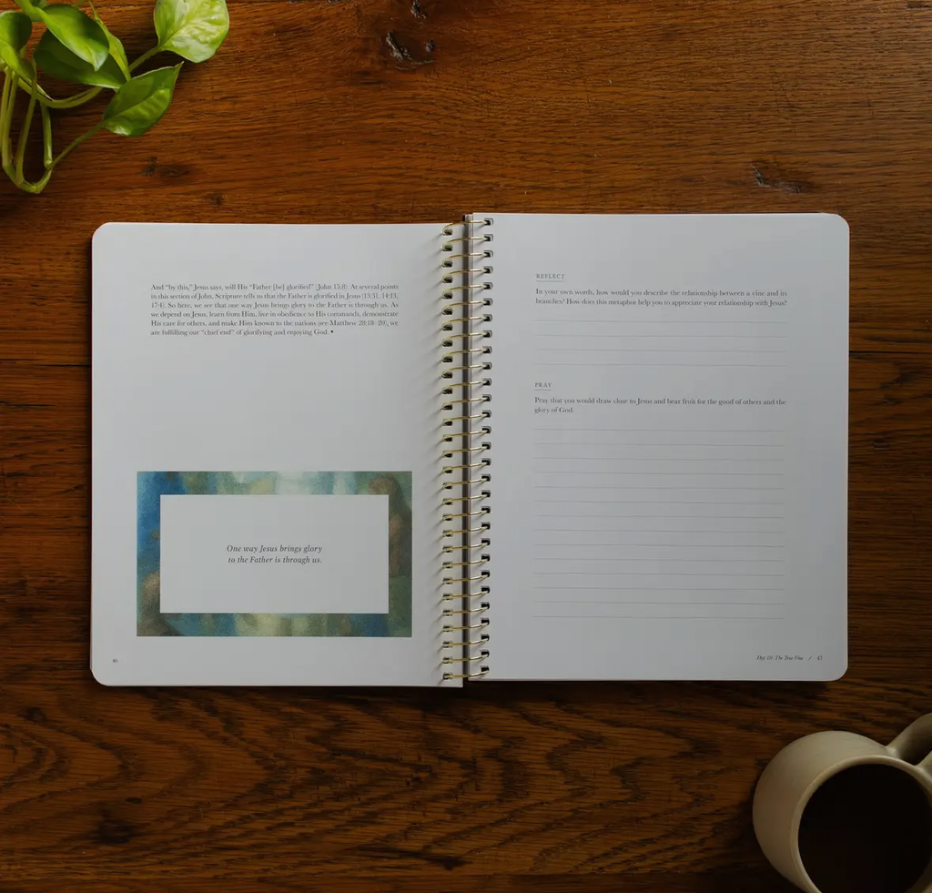 Forty Sayings of Jesus Bible Study