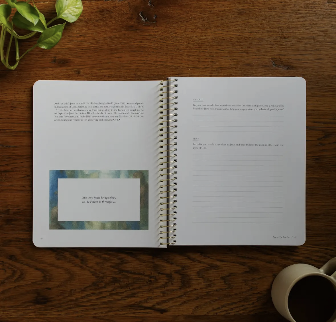 Forty Sayings of Jesus Bible Study