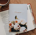 Faith Questions- Purpose Booklet