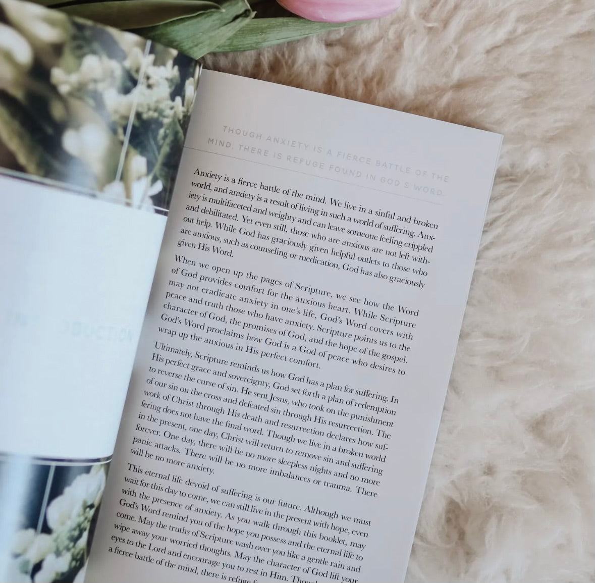 Meditations for Anxiety