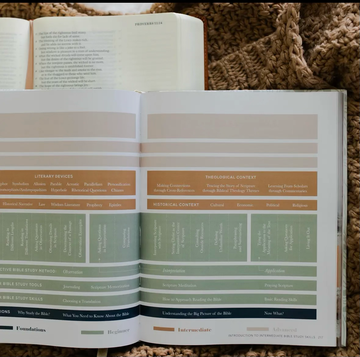 The Bible Study Handbook | Coffee Table Book