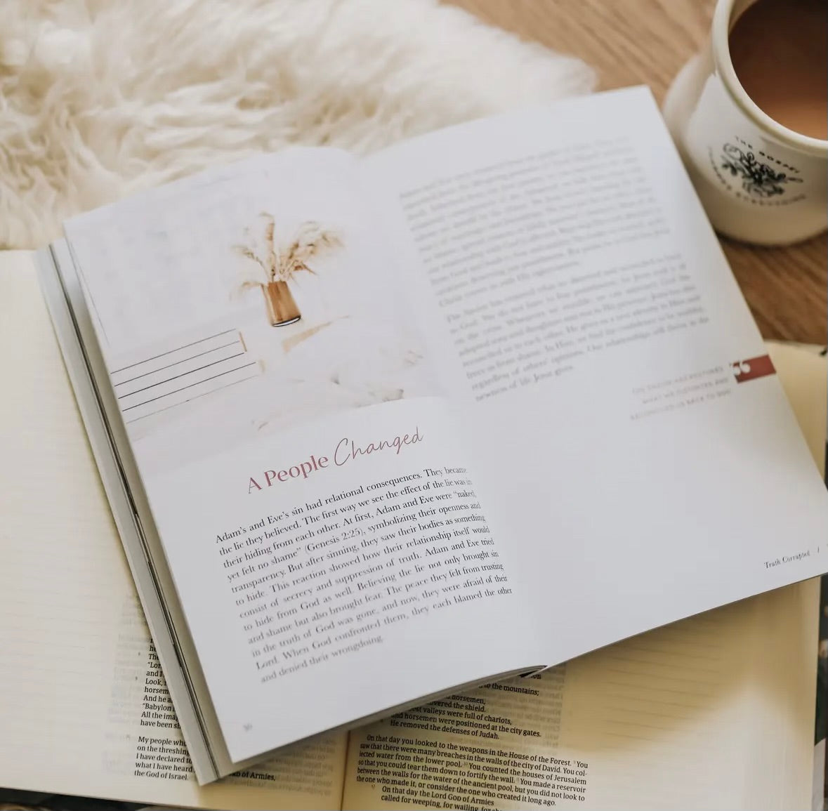 Faith Questions- Truth Booklet