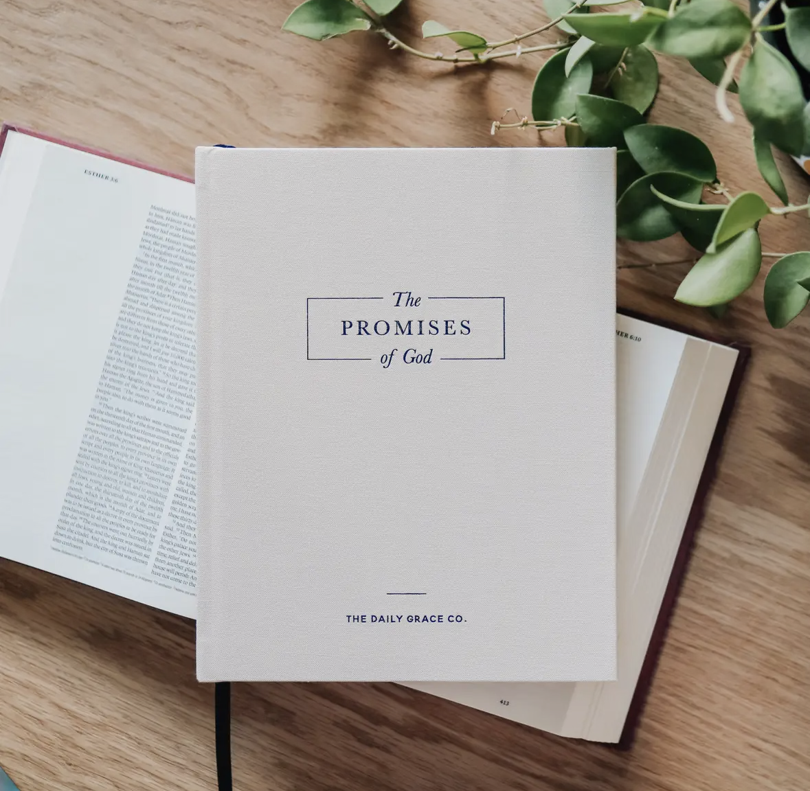 The Promises of God | Coffee Table Book