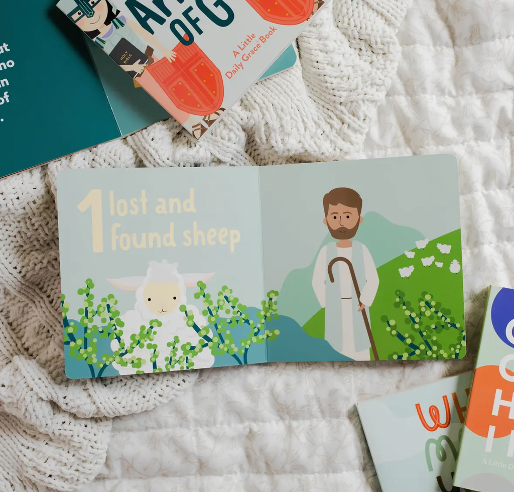 Counting Through the Bible Board Book