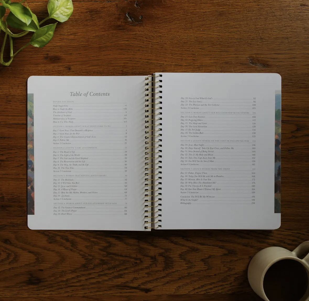 Forty Sayings of Jesus Bible Study