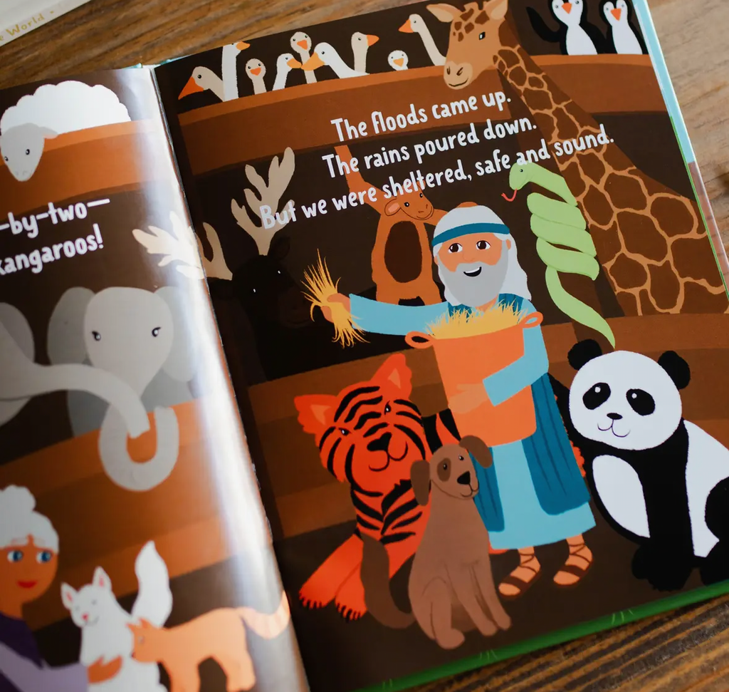 Faithful in the Flood Children's Book
