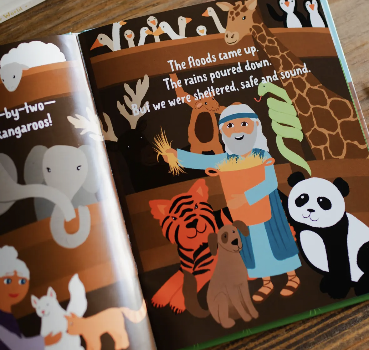 Faithful in the Flood Children's Book