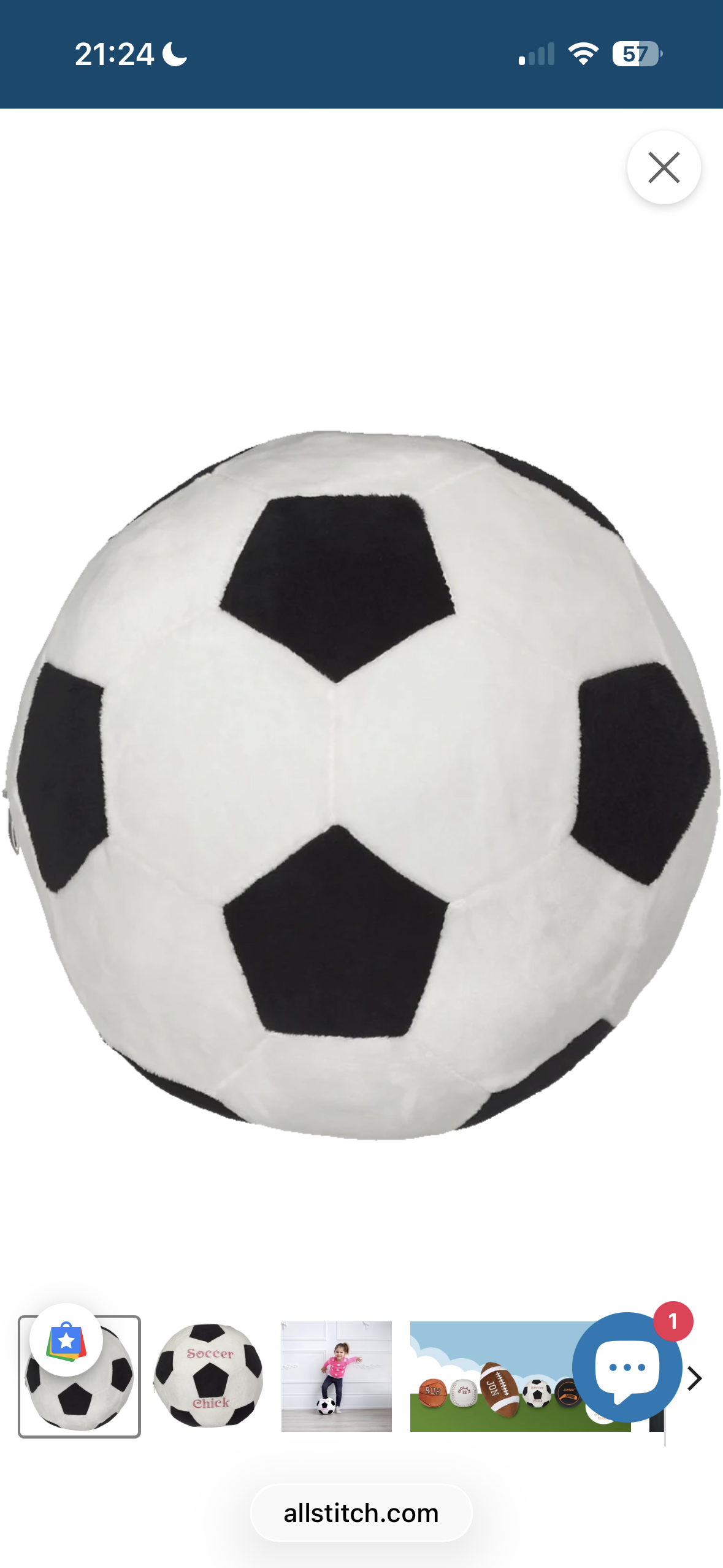 PREORDER- Embroidered Sports Buddy Ball