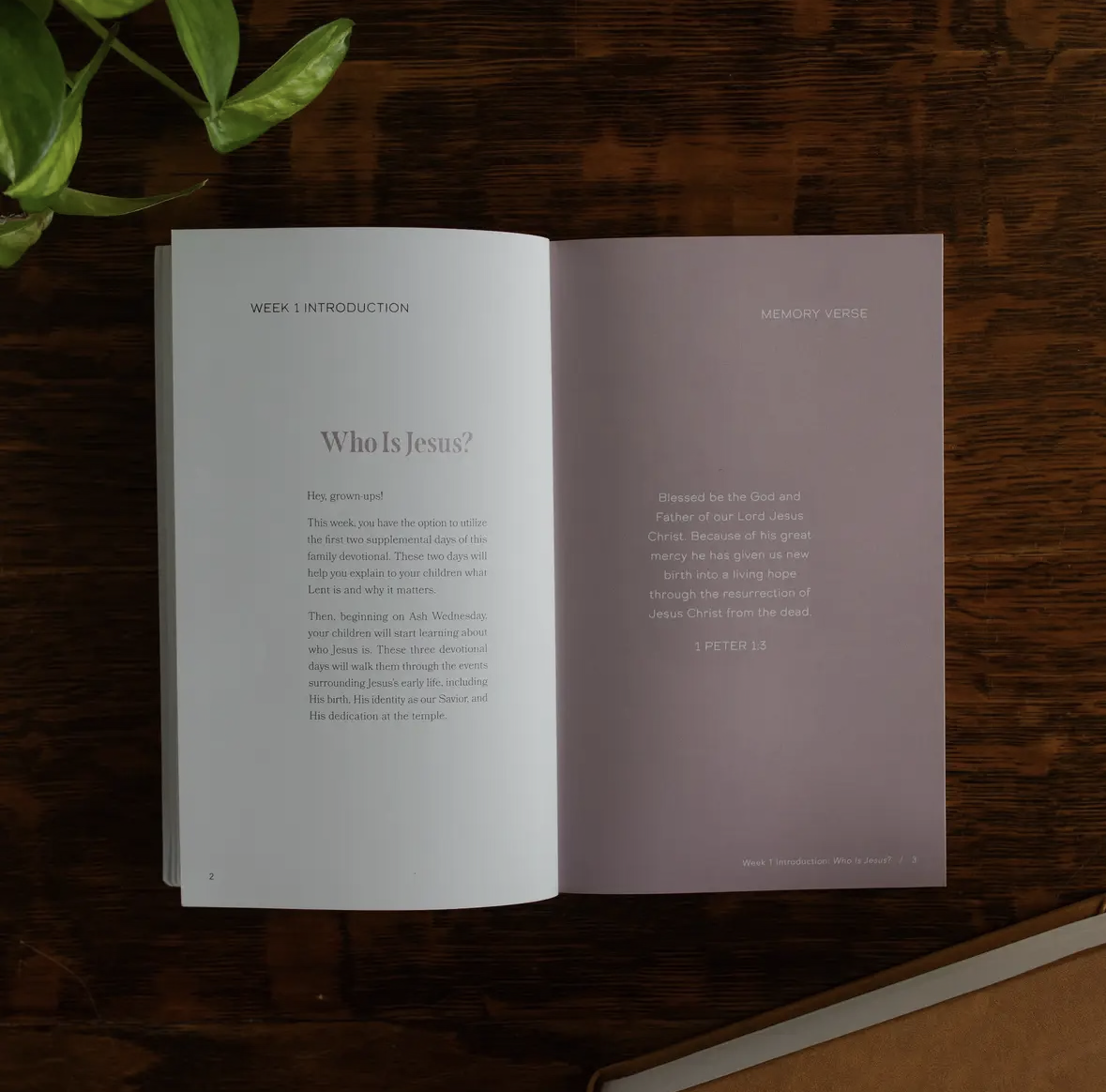 Walking with Jesus Family Lent Devotional