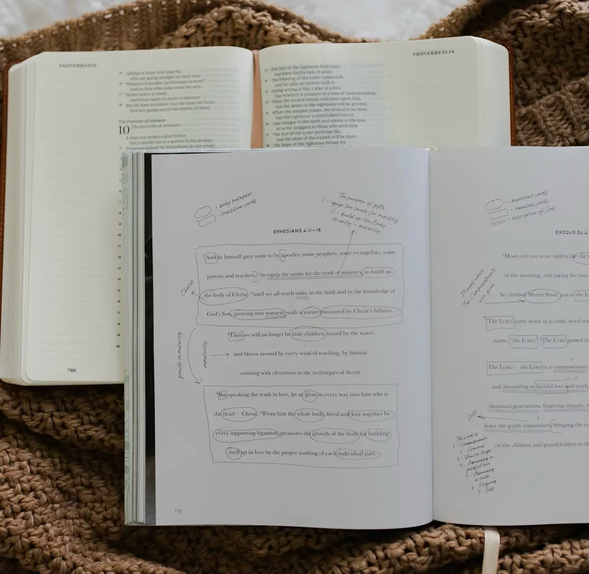 The Bible Study Handbook | Coffee Table Book