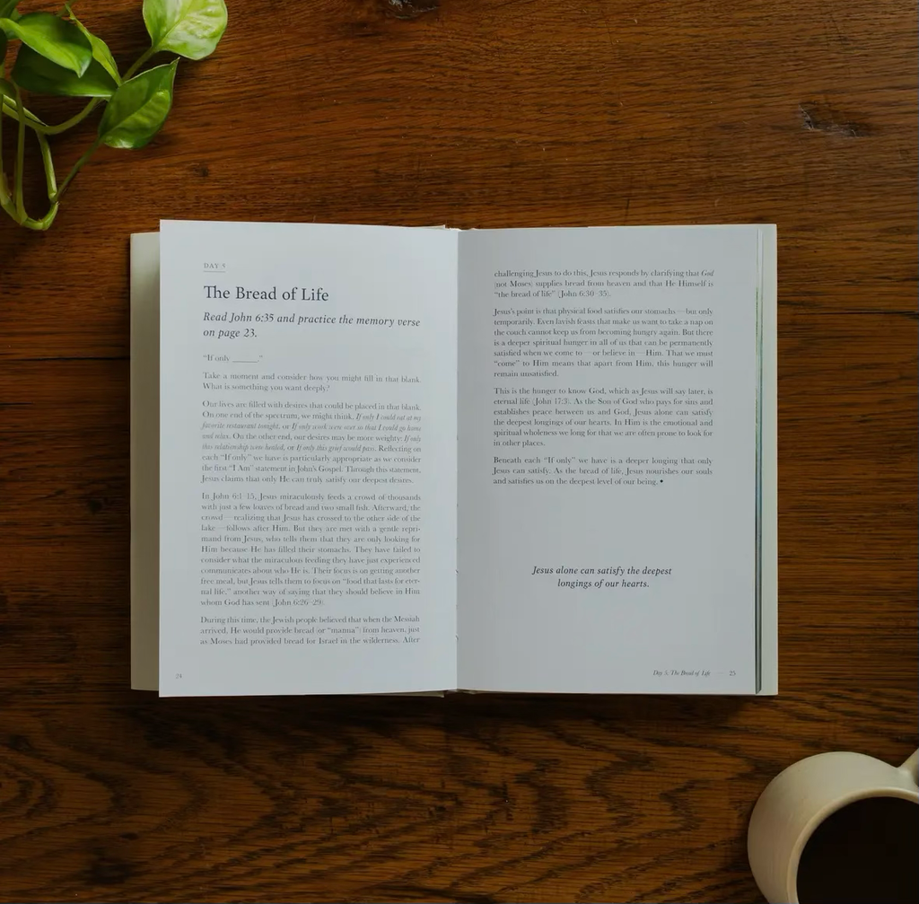 Forty Sayings of Jesus Bible Study