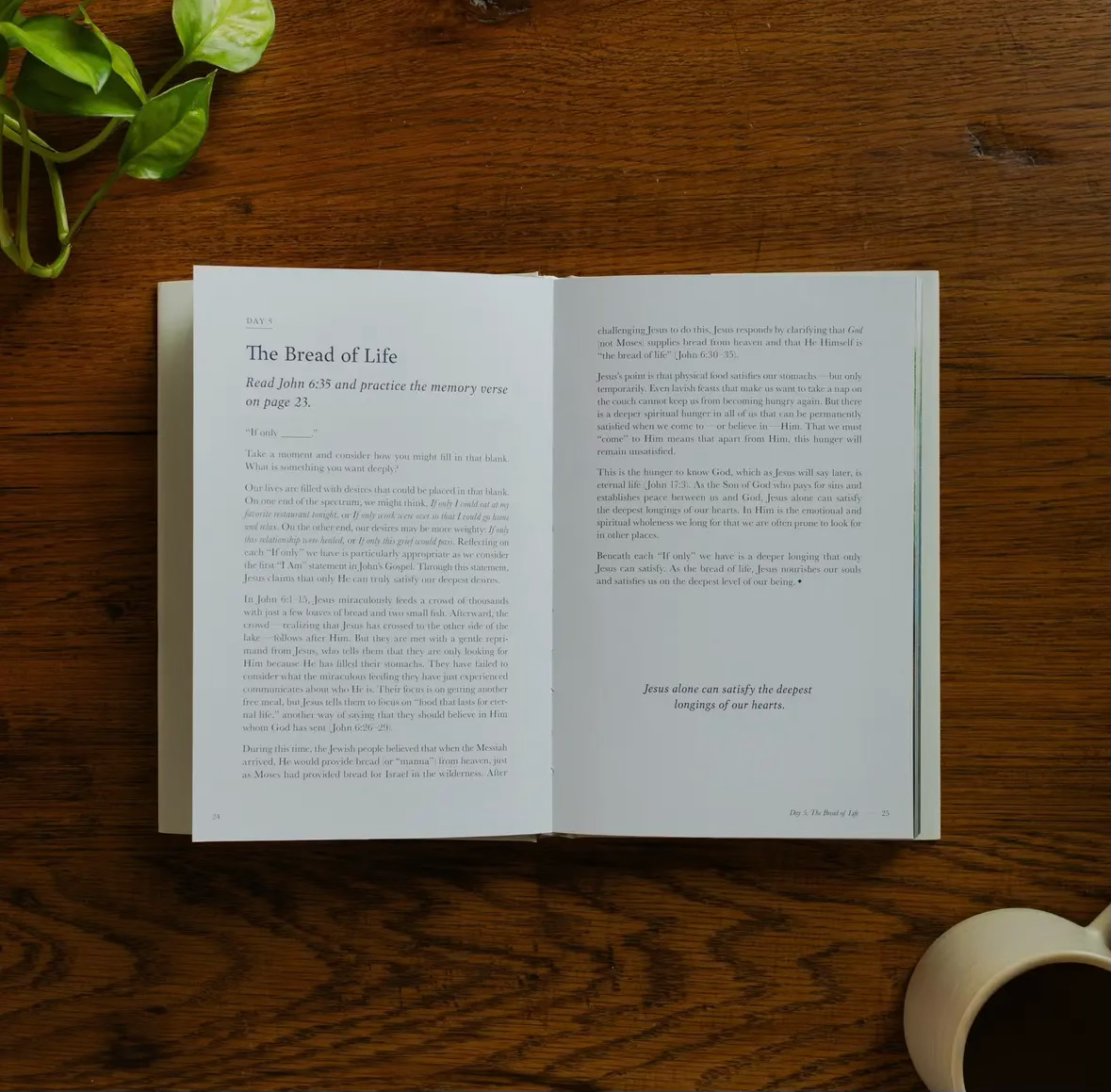 Forty Sayings of Jesus Bible Study