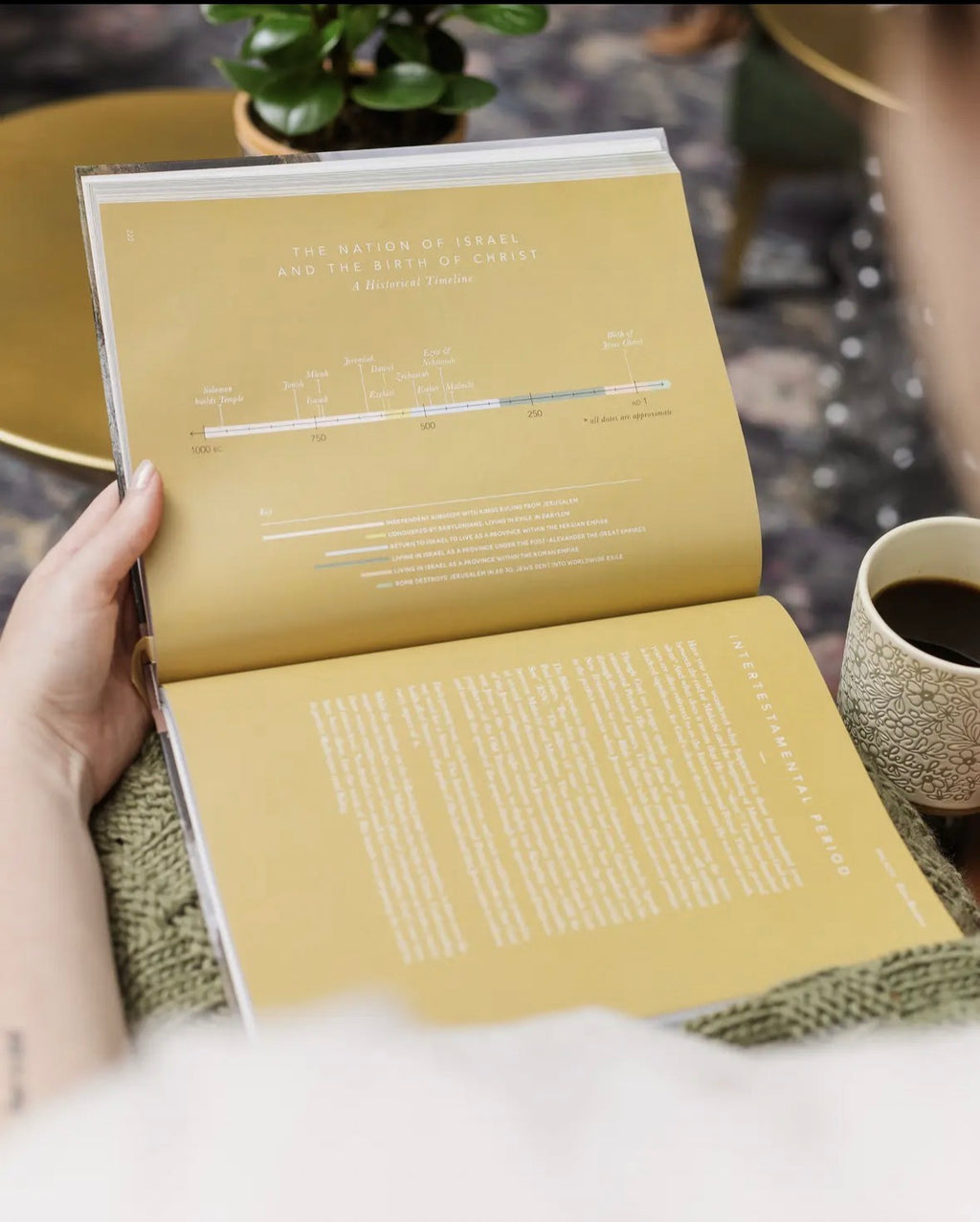 The Bible Handbook | Coffee Table Book