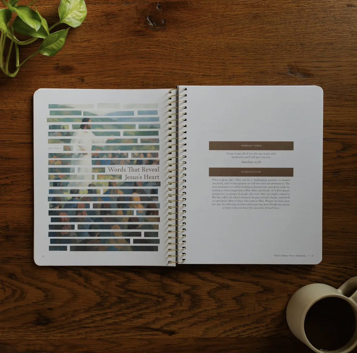 Forty Sayings of Jesus Bible Study
