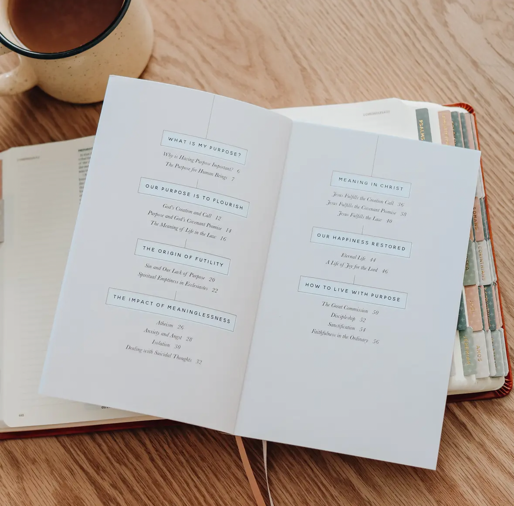 Faith Questions- Purpose Booklet