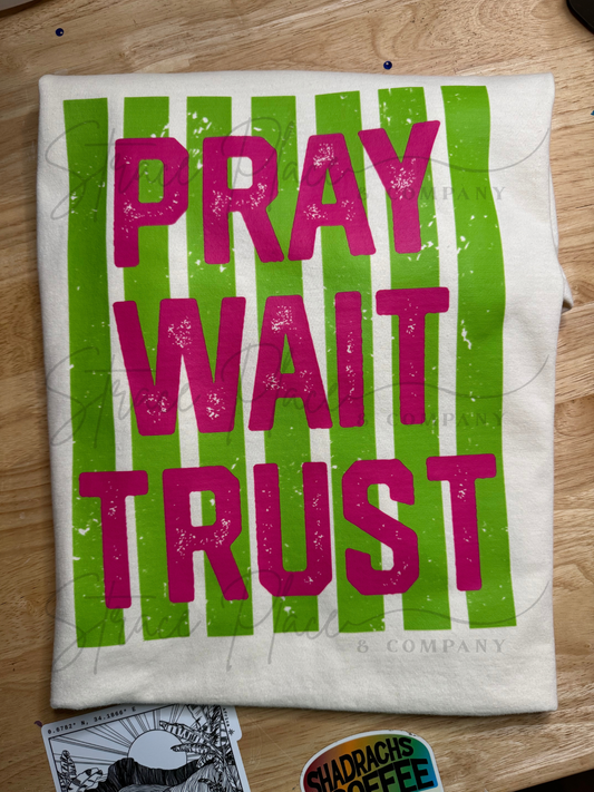 PRAY WAIT TRUST- Adult CC Tee